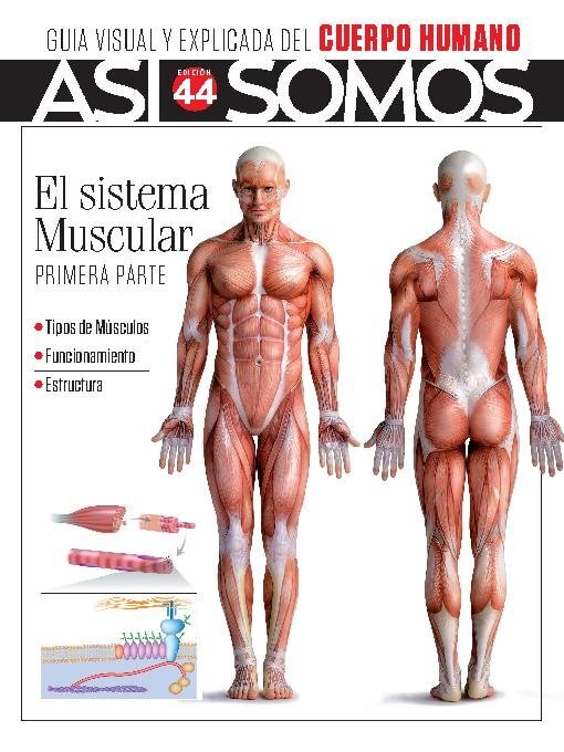 Title details for Así Somos - El cuerpo humano by Media Contenidos - Available